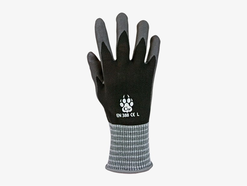 Claw Wear Gloves Lion Claw - Glove, transparent png download