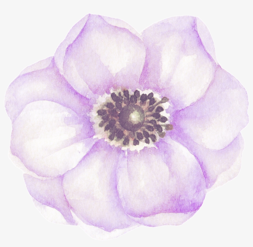 Lavender Beautiful Flower Transparent Decorative - Purple, transparent png download