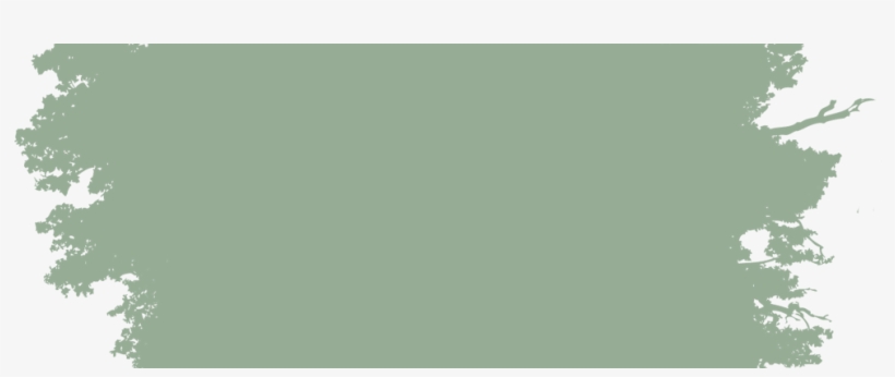 Summer Camp Background Png, transparent png download