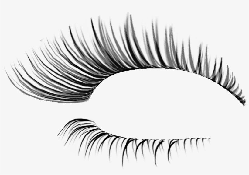 Otros Blogs Que Te Pueden Interesar - Fake Eyelashes Transparent Background, transparent png download