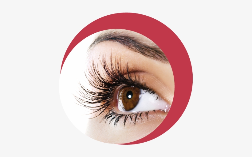 ¿qué Son Las Extensiones De Pestañas - One: Skin Pasion Pro Growth Lash Serum, transparent png download