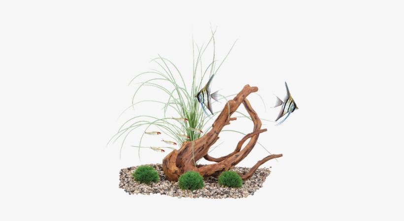 Fluval Decor Mopani Wood, Grass & Moss Stones Aquarium, transparent png download