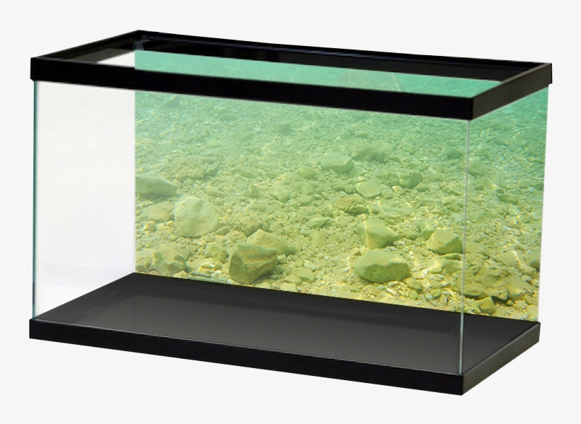 Aquariumvinyl Stonyriverbed, transparent png download