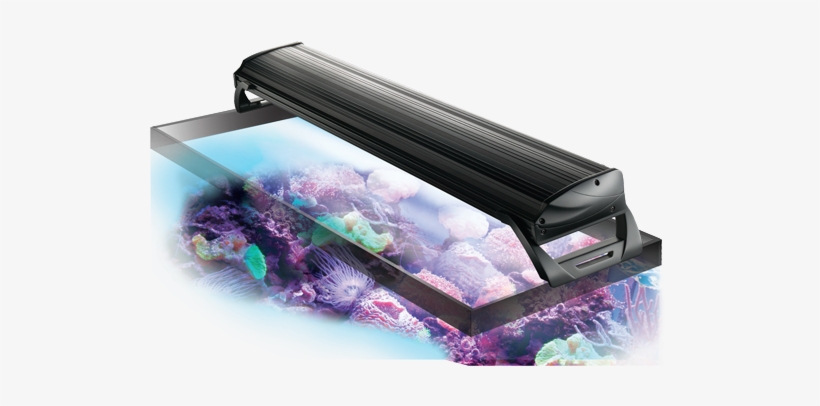 Light Fixtures - Overhead Fish Tank Light, transparent png download