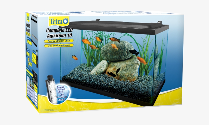 Tetra, Complete Led Aquarium Kit - 10 Gallon 10, transparent png download
