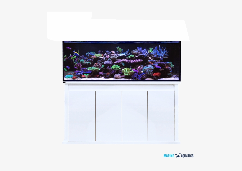 D D Reef Pro 1500s - Reef Aquarium, transparent png download