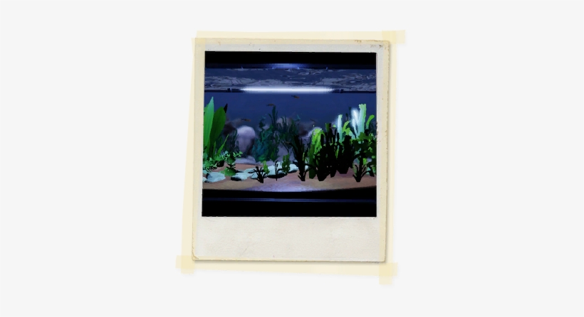 Tx E3 2a Sciclass Aquarium Unlocked - Texas, transparent png download