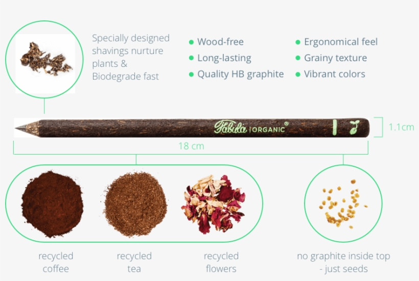 Fabuladescription - Saigon Cinnamon, transparent png download