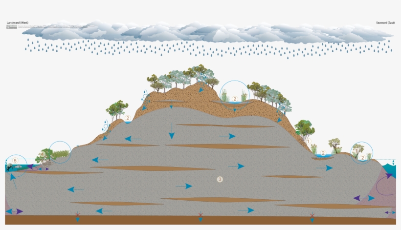 High Dunes - Science, transparent png download