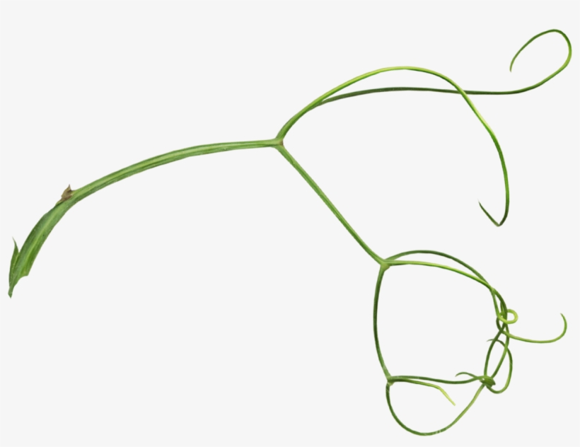 0 1f2595 Bfe462f9 Orig - Portable Network Graphics, transparent png download