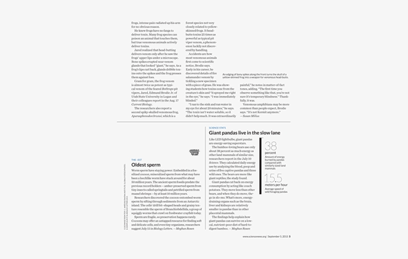 Alphabetized Bible, transparent png download