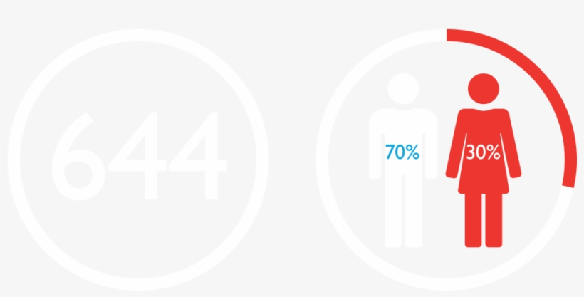 Total Of Ftes And Male/female Ratio - Wallpaper, transparent png download