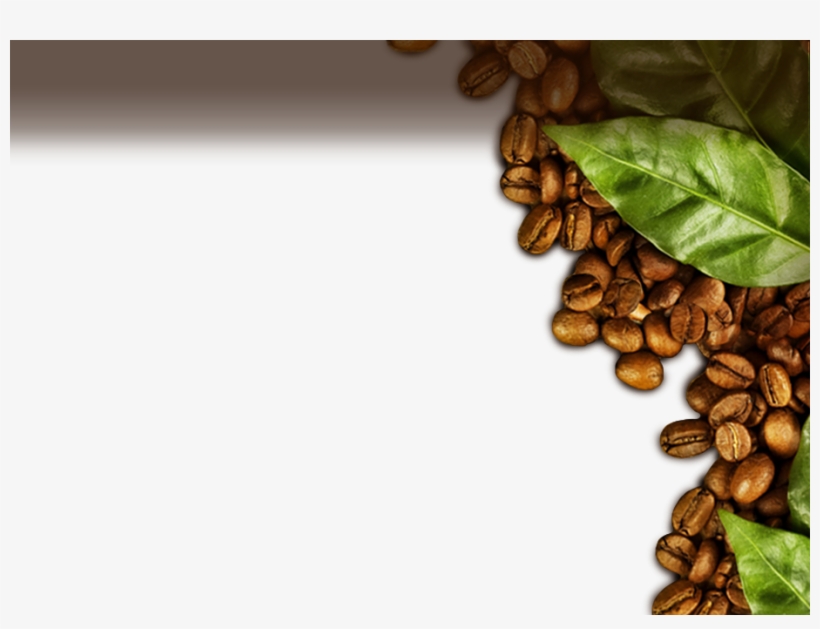 Prueba Nuestros Deliciosos Cafés - Coffee, transparent png download