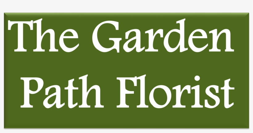 The Count Of Monte Cristo, transparent png download