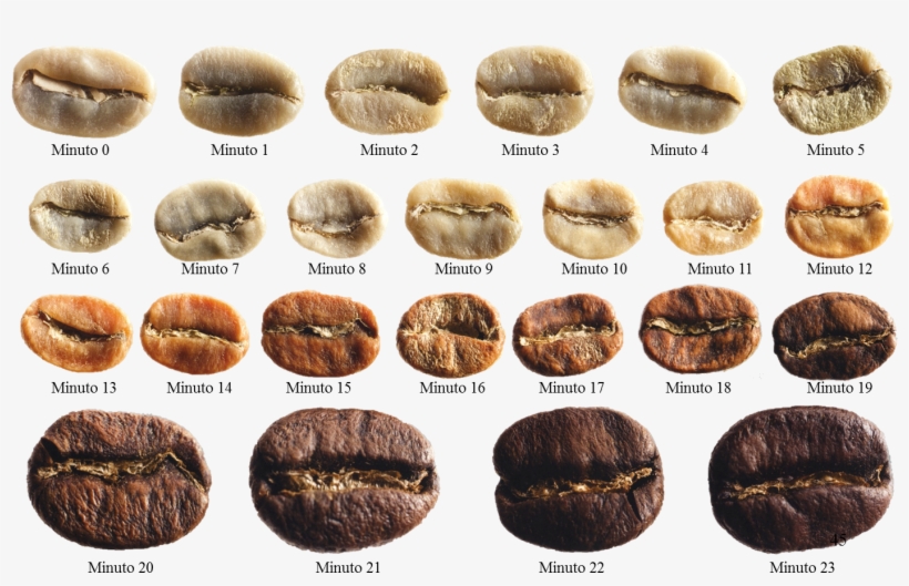 Granos De Cafe - Coffee Roasting Stages, transparent png download