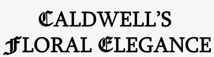 Colors.png Shower Curtain, transparent png download