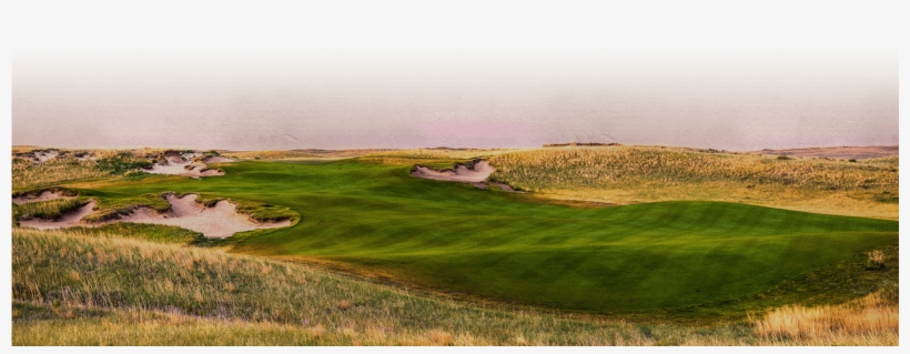 Horse Course - Grass, transparent png download