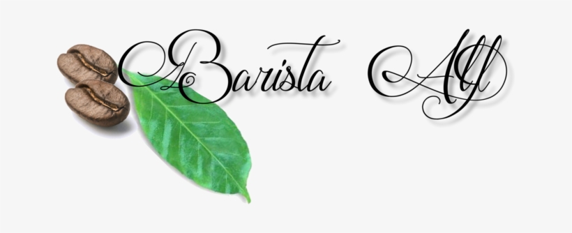 Logo Barista - Hojas De Cafe Logo, transparent png download