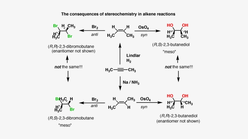 6-blankcanvas - Alkane To Alkene Reactions, transparent png download
