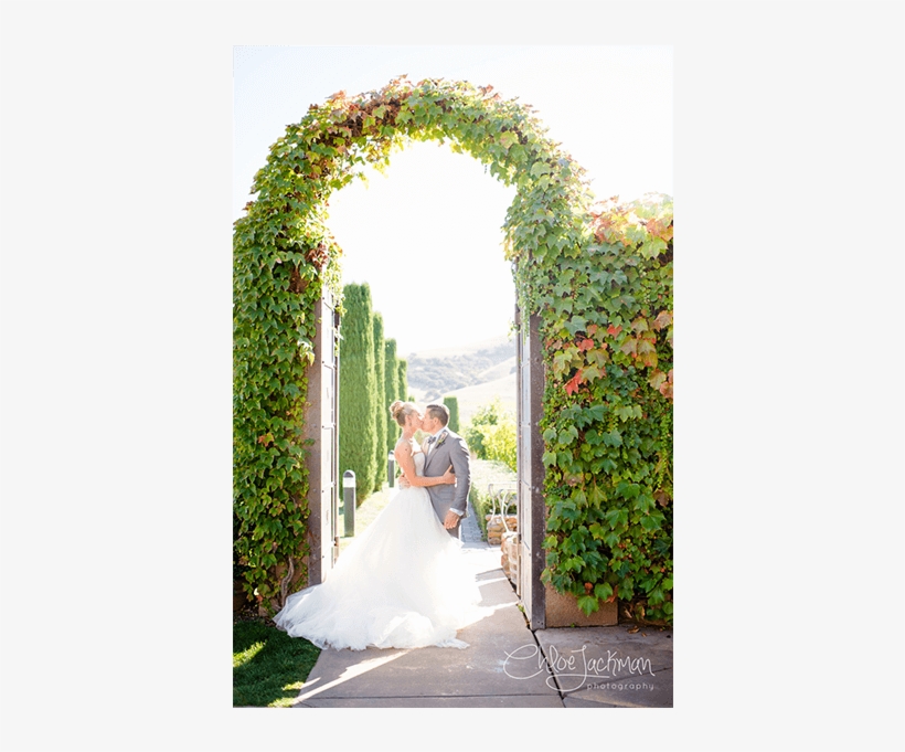 Previous Next - Viansa Sonoma Winery & Tasting Room, transparent png download