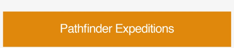 What You'll Learn - Orange, transparent png download