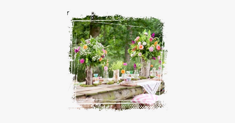 Prices Start From £3,000 - Garden Roses, transparent png download