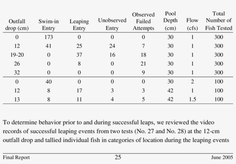 A Qualitative Comparison Of Numbers Of Fish Observed - Number, transparent png download