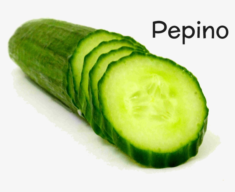El Origen Del Pepino Se Sitúa En Las Regiones Tropicales - Types Of Cucumber, transparent png download