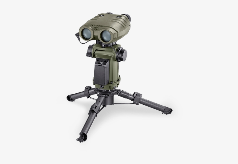 Sterna Vector Family - Sterna Safran, transparent png download