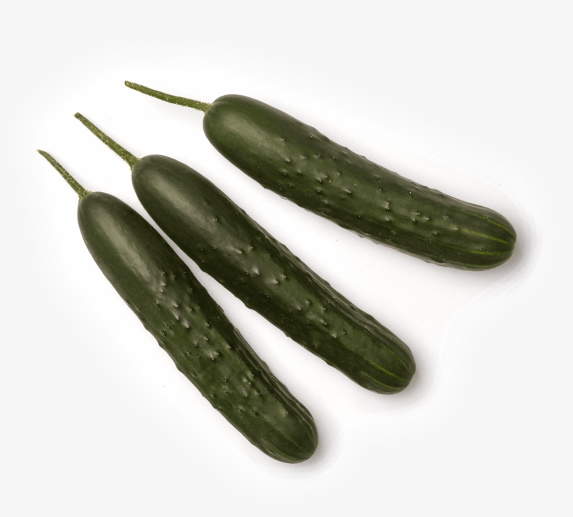 Cucumber, transparent png download