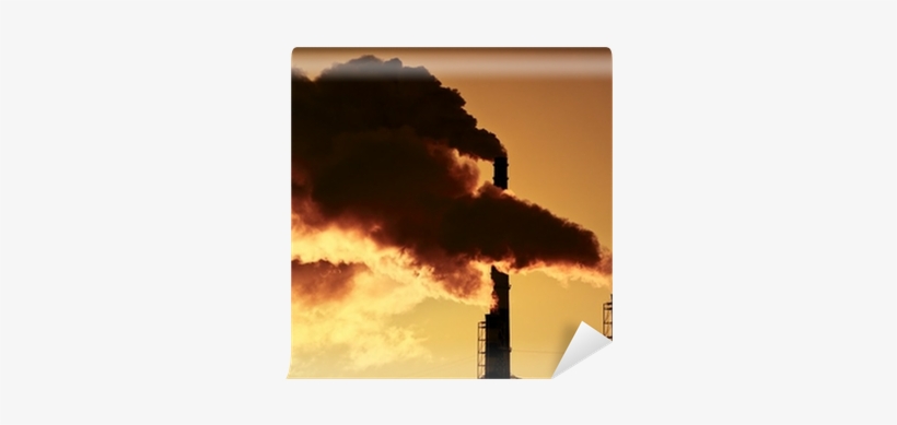 Territorio E Contaminacao Ambiental By Mendes Carlos, transparent png download