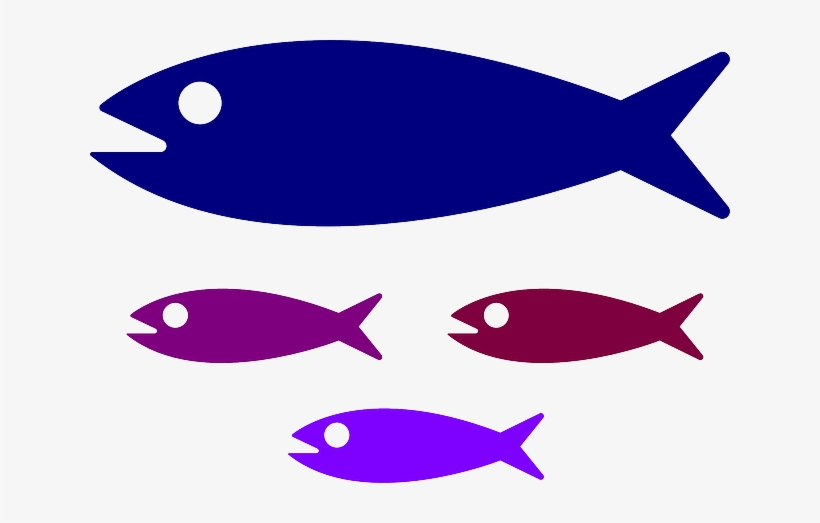 Small Medium Large Fish, transparent png download