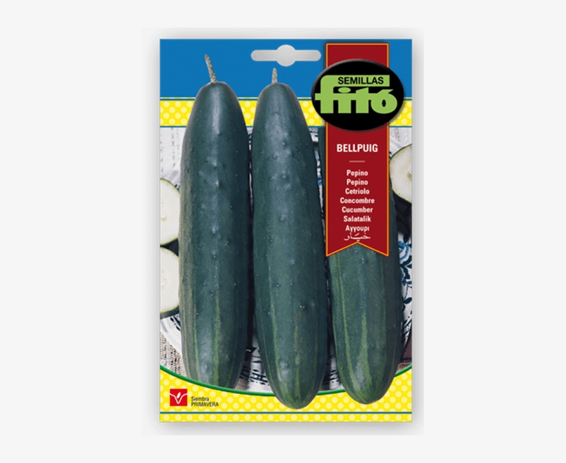 Semillas Fitó Cucumber Bellpuig, transparent png download