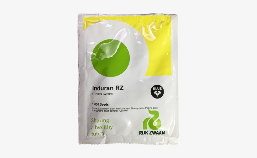 Sea Lettuce, transparent png download