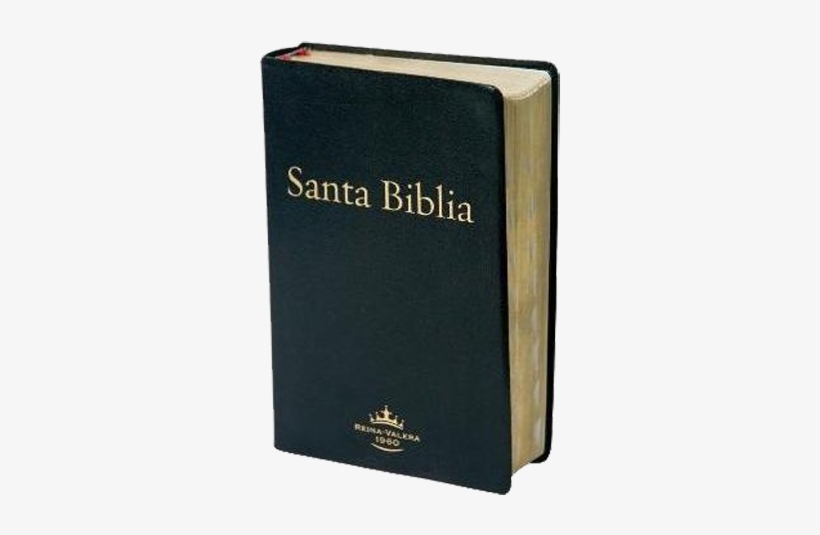 Capítulos Y Versículos De La Biblia,dando La Facilidad - Libro Sagrado Del Cristianismo, transparent png download