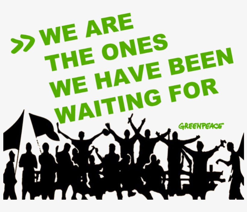 Football Fans Vector, transparent png download