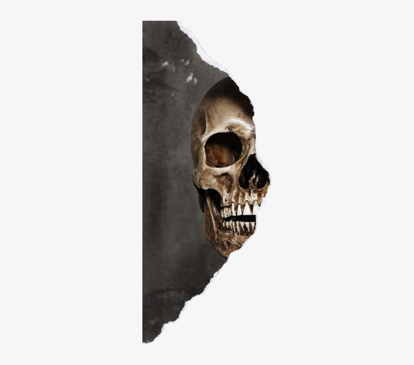 Skeleton Overlay Oldphoto Photo Face Halloween - Skeleton Png For Picsart, transparent png download