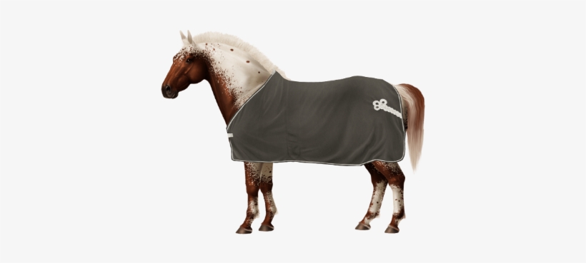 Taken On Sun Jun 17, 2018 - Horse, transparent png download
