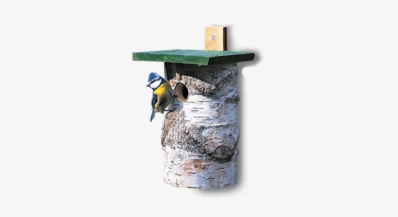 Quintra New Nest Dox Nest House Bird House Bird House - Chickadee, transparent png download