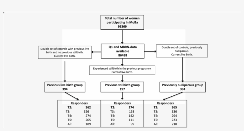 The Norwegian - Diagram, transparent png download