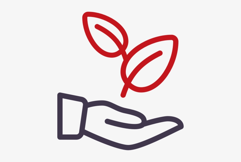 6 Latam 77124879 - Icon, transparent png download