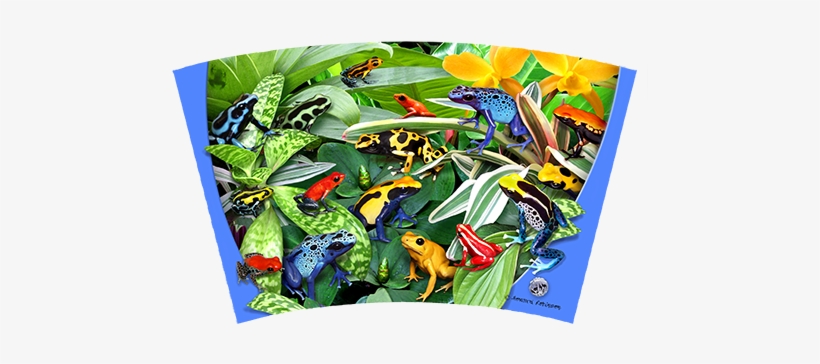 Dart Frogs 16oz Tumbler, Tumbler - Ravensburger Friendly Frogs - 300 Piece Puzzle, transparent png download