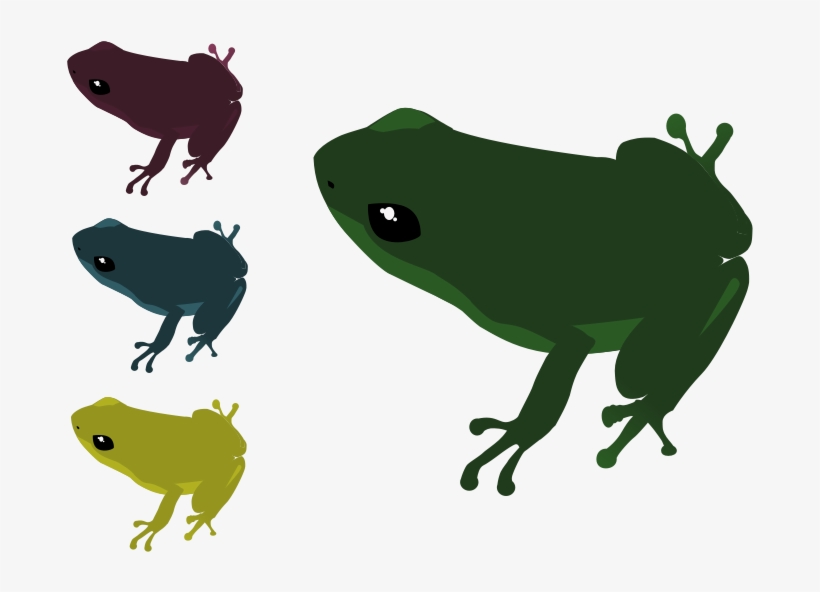 Frogs - True Frog, transparent png download