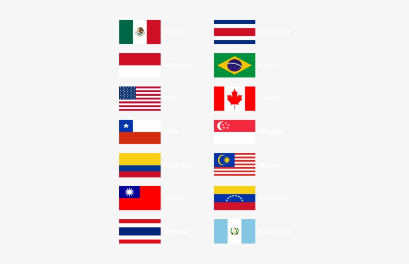 Banderas - Learning, transparent png download