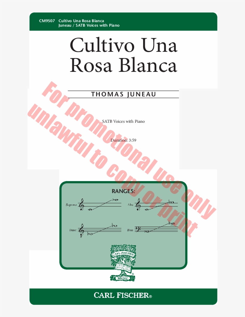Cultivo Una Rosa Blanca Thumbnail Cultivo Una Rosa - Storm By James Desjardins, transparent png download