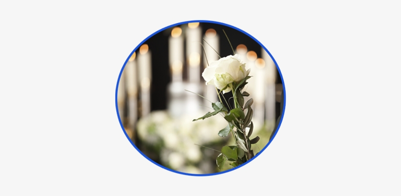 Rosa Blanca Con Velas - Death By Steffi Cavell-clarke, transparent png download