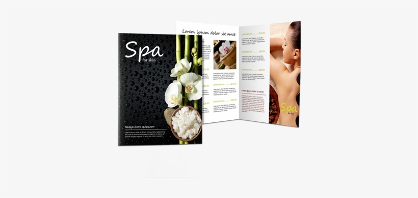 Brochure, transparent png download