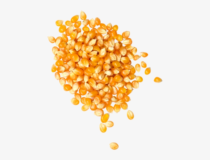 Popcorn Seeds & Oils - Junk Food, transparent png download