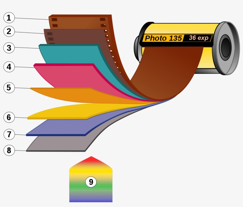 Photographic Film, transparent png download