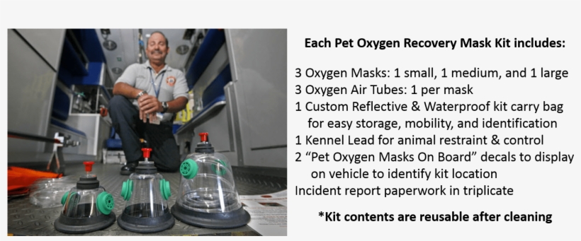 Many Agencies Have Budget Restrictions That Prohibit - Mask, transparent png download